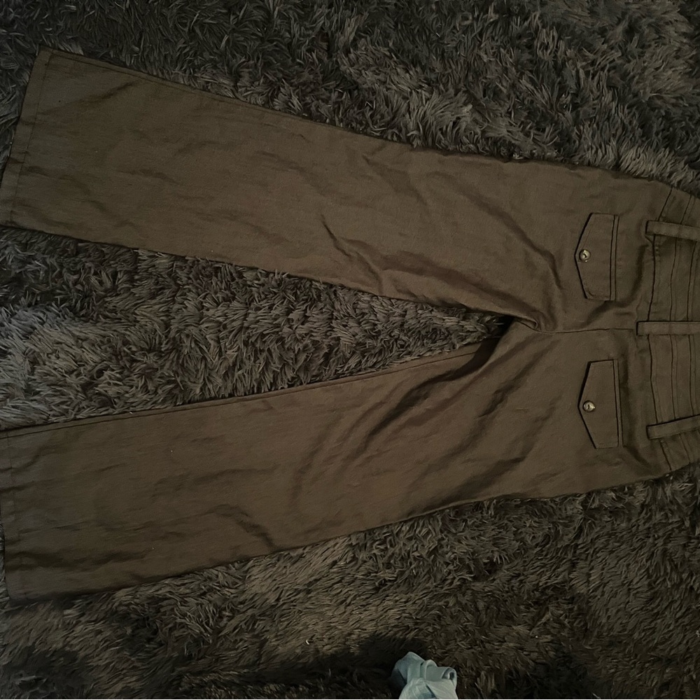 Byer California Dark Brown Pants